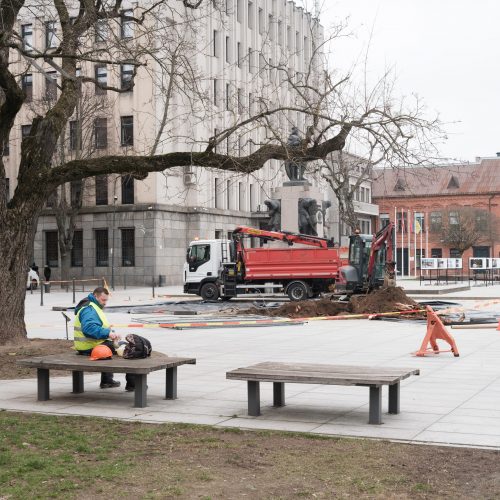 Naujai susodintos liepos Laisvės alėjoje  © Edgaro Cickevičiaus nuotr.