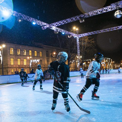 Lukiškių aikštėje atidaryta ledo čiuožykla  © P. Peleckio / Fotobanko nuotr.