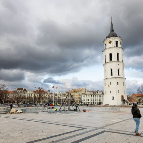 Vilniaus Kalėdų eglės statymo darbai  © S. Lisausko / BNS nuotr.