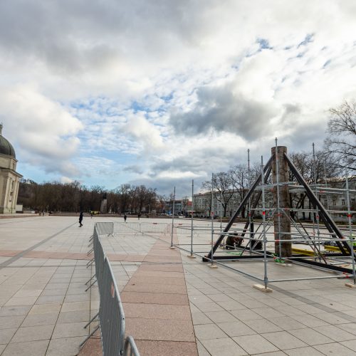 Vilniaus Kalėdų eglės statymo darbai  © S. Lisausko / BNS nuotr.