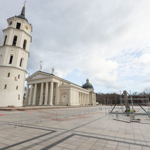 Vilniaus Kalėdų eglės statymo darbai  © S. Lisausko / BNS nuotr.