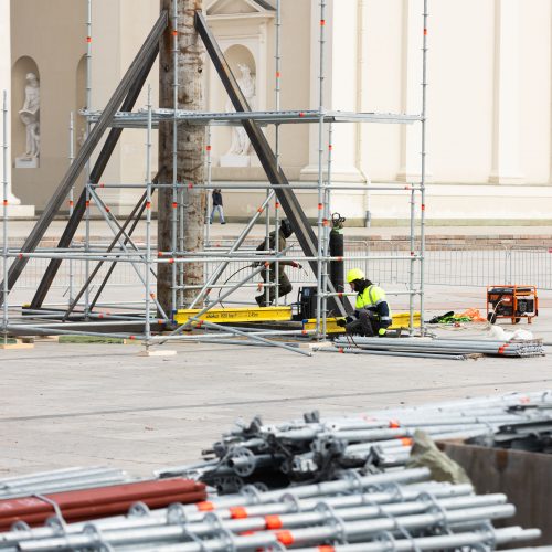 Vilniaus Kalėdų eglės statymo darbai  © S. Lisausko / BNS nuotr.