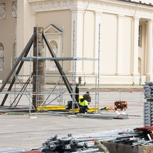 Vilniaus Kalėdų eglės statymo darbai  © S. Lisausko / BNS nuotr.