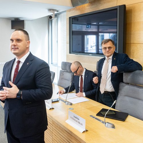 Seimo komisijos dėl VSD pranešėjo informacijos spaudos konferencija  © P. Peleckio / BNS nuotr.