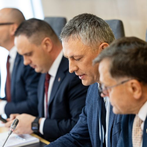 Seimo komisijos dėl VSD pranešėjo informacijos spaudos konferencija  © P. Peleckio / BNS nuotr.