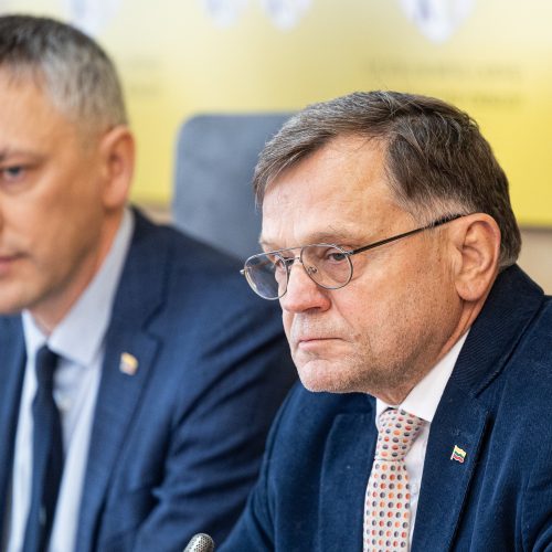 Seimo komisijos dėl VSD pranešėjo informacijos spaudos konferencija  © P. Peleckio / BNS nuotr.