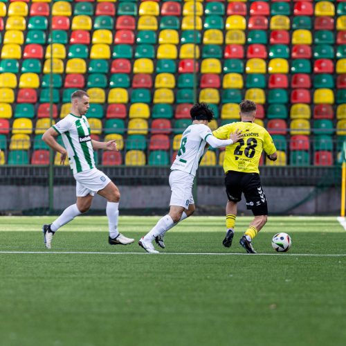 A lygos rungtynės LFF stadione: Vilniaus „Žalgiris“ - „Šiauliai“  © P. Peleckio / BNS nuotr.