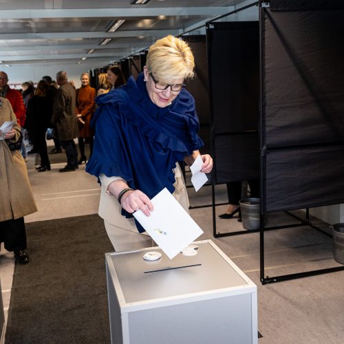 Baigiasi išankstinis balsavimas prezidento rinkimuose ir referendume  © P. Peleckio / BNS nuotr.