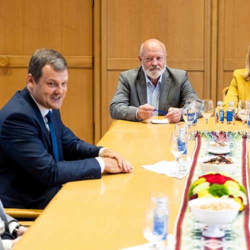 Seimo pirmininkės kabinete – Seimo dialogo grupės pasitarimas  © Ž. Gedvilos / BNS nuotr.