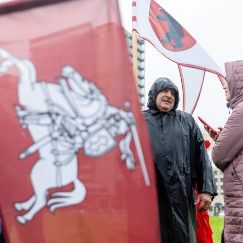 Šeimų sąjūdžio protestas prie Seimo  © L. Balandžio / BNS nuotr.