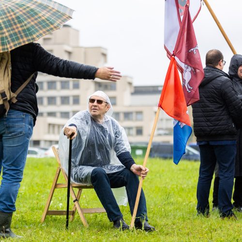 Šeimų sąjūdžio protestas prie Seimo  © L. Balandžio / BNS nuotr.