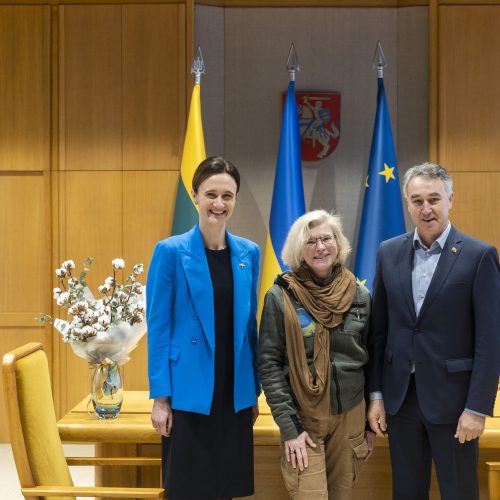 V. Čmilytė-Nielsen susitiko su Ukrainos savanore paramedike J. Pajevska-Taira  © I. Gelūno / BNS nuotr.