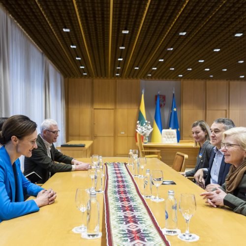 V. Čmilytė-Nielsen susitiko su Ukrainos savanore paramedike J. Pajevska-Taira  © I. Gelūno / BNS nuotr.