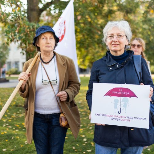 Protestas „Stabdykime gyvenimo įgūdžių ugdymo programą: NE ideologijai švietime!“  © S. Lisausko / BNS nuotr.