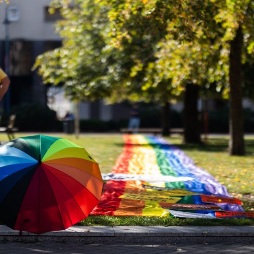 LGBTQ bendruomenės protestas  © S. Lisausko / BNS nuotr.