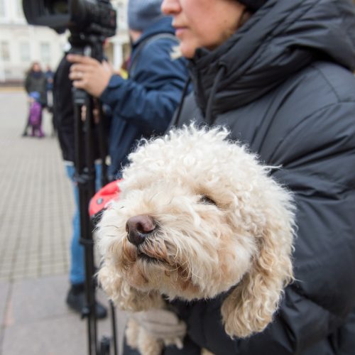 Renginys „Mamos už mamas! Palaikymo valanda Rasai Račienei“  © Butauto Barausko nuotr.