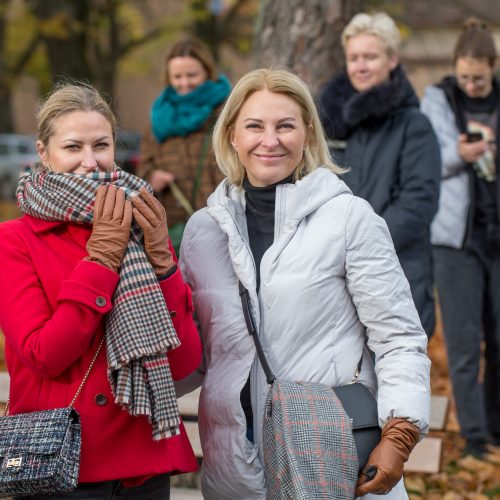 Renginys „Mamos už mamas! Palaikymo valanda Rasai Račienei“  © Butauto Barausko nuotr.