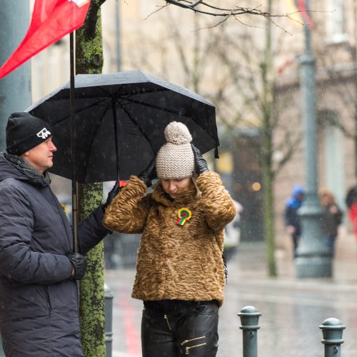 Tūkstančiai žmonių Vilniuje dalyvavo šventinėse eitynėse  © Butauto Barausko nuotr.