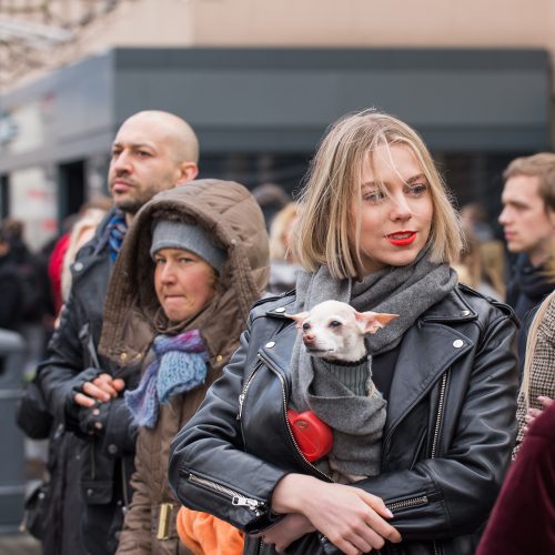 Tūkstančiai žmonių Vilniuje dalyvavo šventinėse eitynėse  © Butauto Barausko nuotr.