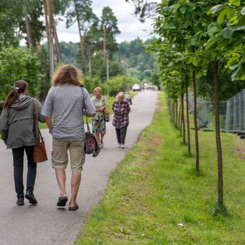 „Akacijų alėja“ – su apribojimais  © Justinos Lasauskaitės nuotr.