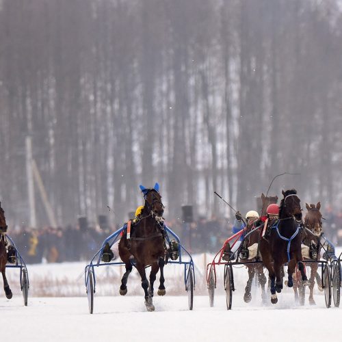 Žirgų lenktynės ,,Sartai 2018“  © D. Labučio (ELTA) ir V. Pilkausko nuotr.