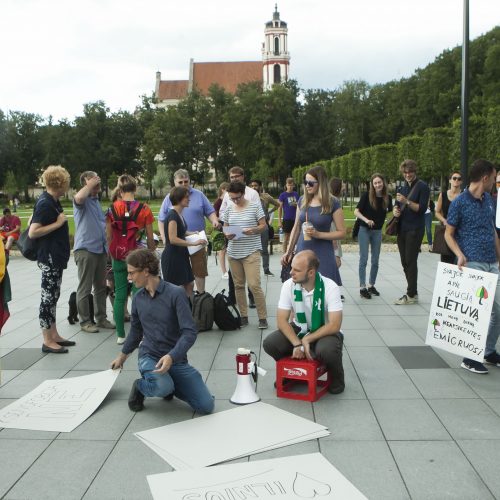 Vilniuje – mitingas dėl policijos neveiklumo  © Dainiaus Labučio (ELTA), Irmanto Gelūno (BFL) nuotr.