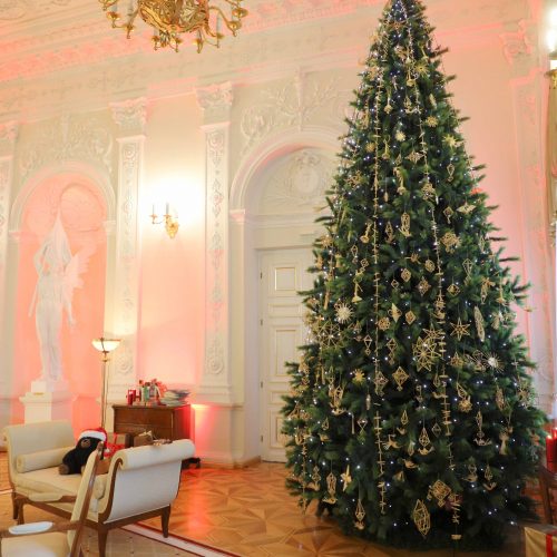 Prezidentė įžiebė pirmąją šalies Kalėdų eglę  © R.Dačkaus (LRP kanceliarijos), Irmanto Gelūno (Fotobanko), Dainiaus Labučio (ELTA) nuotr.
