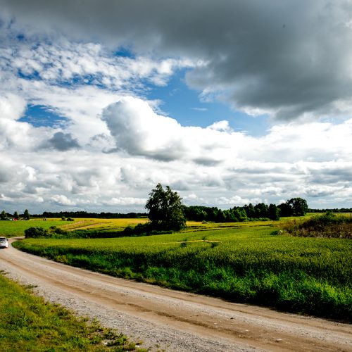 „Rally Žemaitija 2020“ baigėsi įtikinama V. Žalos pergale  © Organizatorių nuotr.