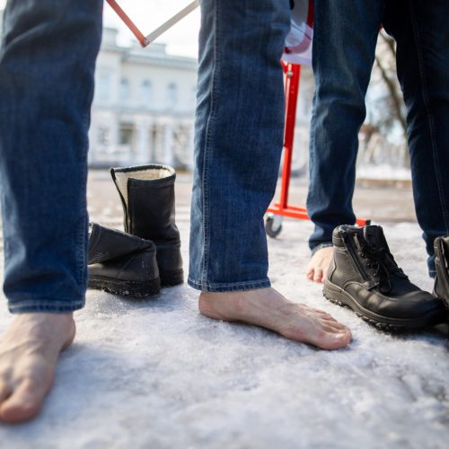 Prie Prezidentūros stovėjo „Basi tėčiai“  © I. Gelūno / „BNS Foto“ nuotr.