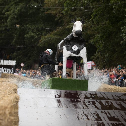 „Red Bull muilinių lenktynės“ Kaune  © Laimio Steponavičiaus ir T. Biliūno / Fotobanko nuotr.