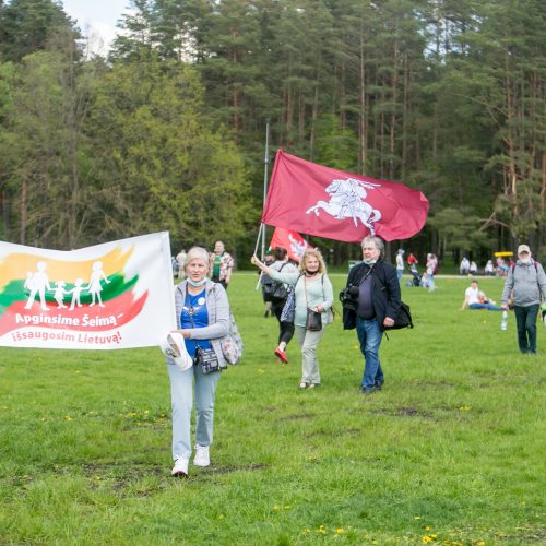 Vingio parke renkasi „Didžiojo šeimos gynimo maršo“ dalyviai  © Vilmanto Raupelio nuotr.