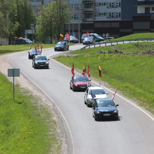 Kauniečiai prisijungė prie bendros „Didžiojo šeimos gynimo maršo“ kolonos  © Laimučio Brundzos, Aliaus Koroliovo ir redakcijos nuotr.