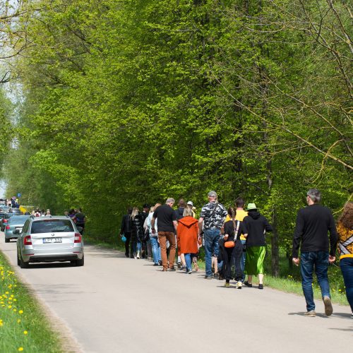 Burbiškio dvaro parke – tulpių jūra  © Butauto Barausko nuotr.