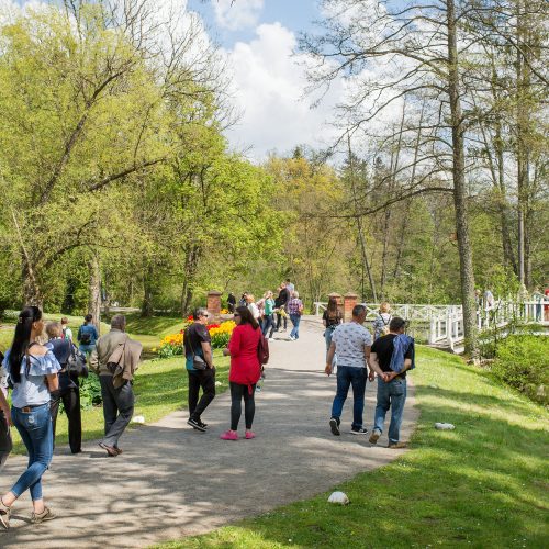 Burbiškio dvaro parke – tulpių jūra  © Butauto Barausko nuotr.