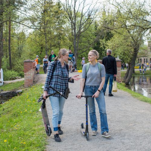 Burbiškio dvaro parke – tulpių jūra  © Butauto Barausko nuotr.