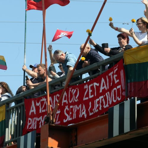 Kauniečiai prisijungė prie bendros „Didžiojo šeimos gynimo maršo“ kolonos  © Laimučio Brundzos, Aliaus Koroliovo ir redakcijos nuotr.