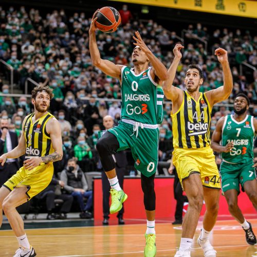 Kauno „Žalgirio“ ir Stambulo „Fenerbahče“ rungtynės  © T. Biliūno / Fotobanko nuotr.