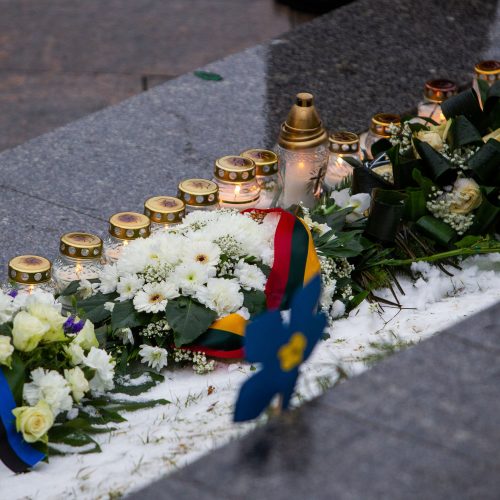 Žuvusiųjų pagerbimo ceremonija  © D. Labučio (ELTA), Irmanto Gelūno (BFL) nuotr.