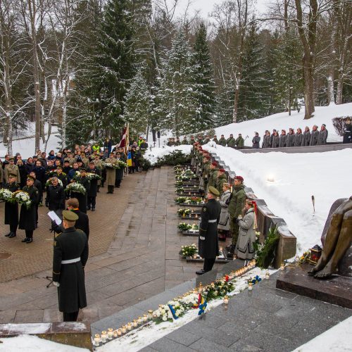 Žuvusiųjų pagerbimo ceremonija  © D. Labučio (ELTA), Irmanto Gelūno (BFL) nuotr.