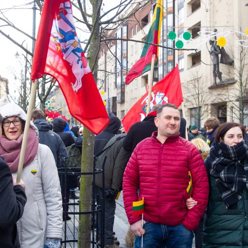 Šventinis trijų Baltijos valstybių pakėlimo ceremonija ir trispalvės nešimas   © Irmanto Gelūno / Fotobanko nuotr.