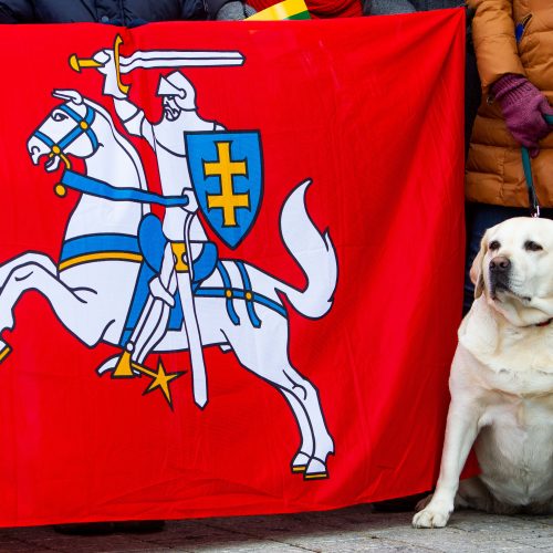 Šventinis trijų Baltijos valstybių pakėlimo ceremonija ir trispalvės nešimas   © Irmanto Gelūno / Fotobanko nuotr.