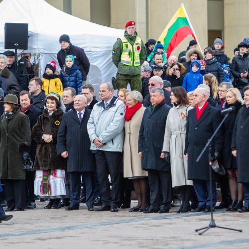 Šventinis trijų Baltijos valstybių pakėlimo ceremonija ir trispalvės nešimas   © Irmanto Gelūno / Fotobanko nuotr.