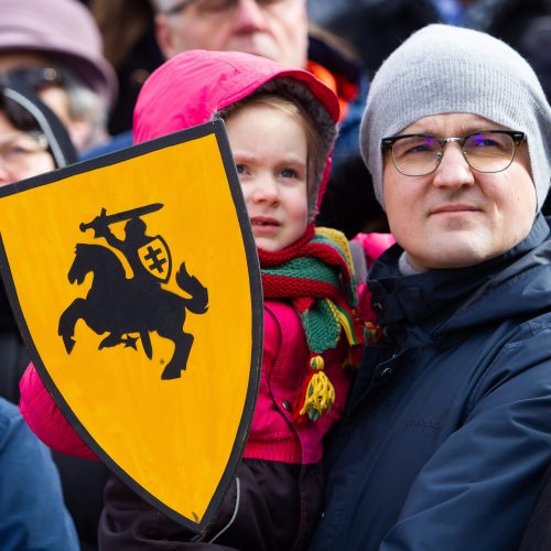 Šventinis trijų Baltijos valstybių pakėlimo ceremonija ir trispalvės nešimas   © Irmanto Gelūno / Fotobanko nuotr.