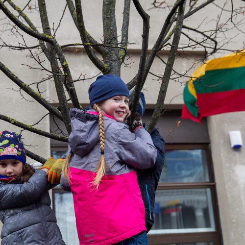 Šventinis trijų Baltijos valstybių pakėlimo ceremonija ir trispalvės nešimas   © Irmanto Gelūno / Fotobanko nuotr.