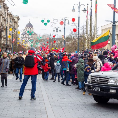 Šventinis trijų Baltijos valstybių pakėlimo ceremonija ir trispalvės nešimas   © Irmanto Gelūno / Fotobanko nuotr.