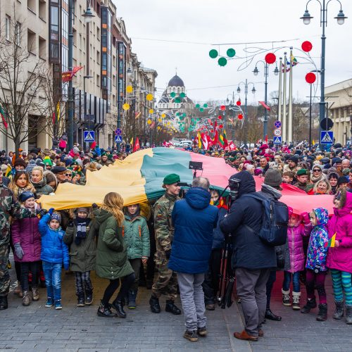 Šventinis trijų Baltijos valstybių pakėlimo ceremonija ir trispalvės nešimas   © Irmanto Gelūno / Fotobanko nuotr.