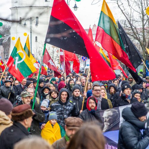 Šventinis trijų Baltijos valstybių pakėlimo ceremonija ir trispalvės nešimas   © Irmanto Gelūno / Fotobanko nuotr.