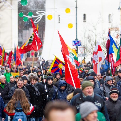 Šventinis trijų Baltijos valstybių pakėlimo ceremonija ir trispalvės nešimas   © Irmanto Gelūno / Fotobanko nuotr.