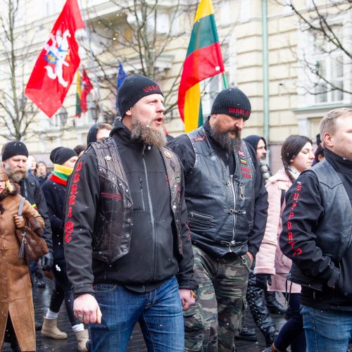 Šventinis trijų Baltijos valstybių pakėlimo ceremonija ir trispalvės nešimas   © Irmanto Gelūno / Fotobanko nuotr.