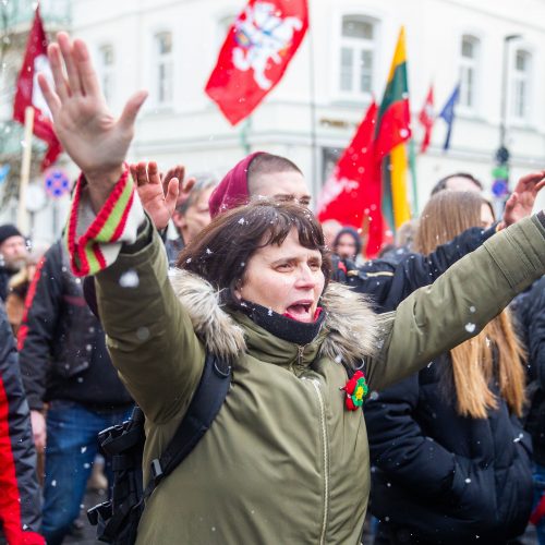 Šventinis trijų Baltijos valstybių pakėlimo ceremonija ir trispalvės nešimas   © Irmanto Gelūno / Fotobanko nuotr.